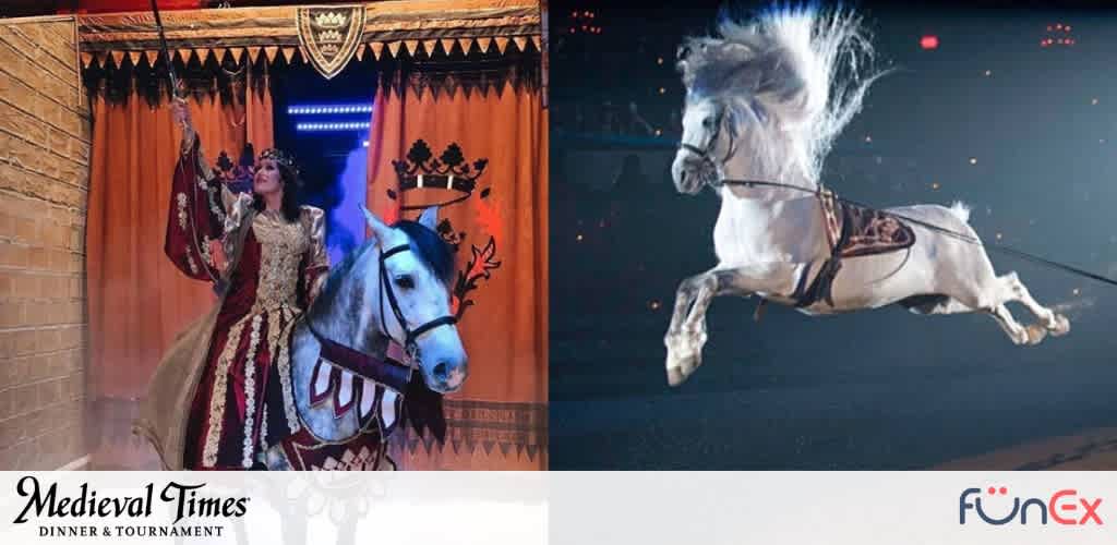 Medieval Times Dinner & Tournament Baltimore