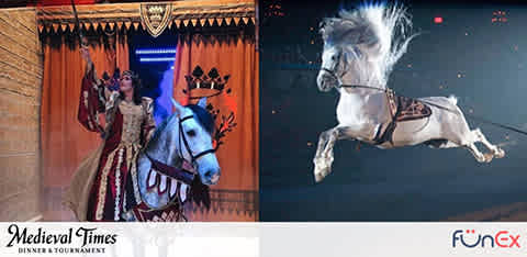 Medieval Times Dinner & Tournament Baltimore