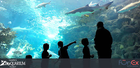 Tampa ZooQuarium discount tickets