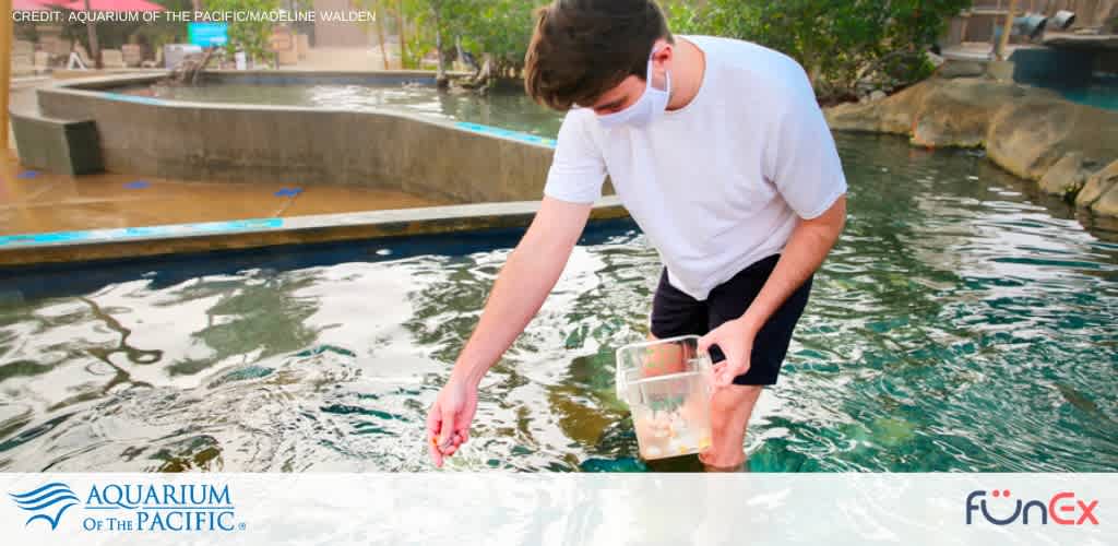 Aquarium of the Pacific discount ticket
