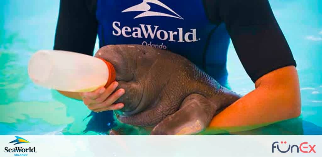 SeaWorld Orlando discount tickets