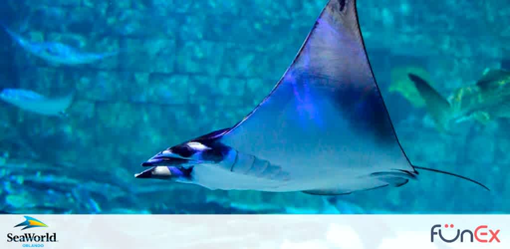 SeaWorld Orlando discount tickets