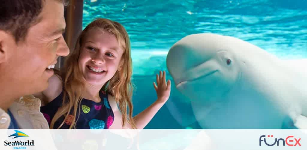 SeaWorld Orlando discount tickets