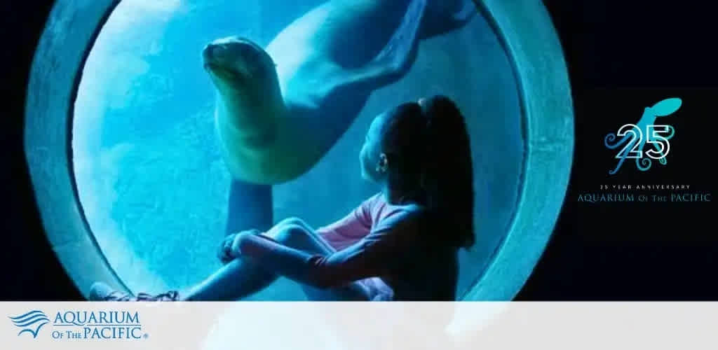 Image shows a young child seated in front of a large circular aquarium window, gazing at a seal swimming underwater. Text on the image celebrates the 25th anniversary of the Aquarium of the Pacific. The atmosphere is serene, highlighting the connection between humans and marine life.