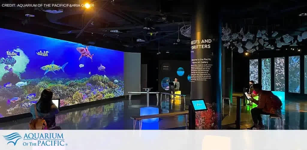 This image shows an indoor exhibit at the Aquarium of the Pacific. The photograph captures a dimly lit room with an expansive wall projection displaying vibrant underwater scenes hosting a variety of animated fish and coral reefs. A visitor sits at a stool in the foreground, seemingly engrossed in observing the aquatic life. Another visitor on the right interacts with an exhibit on a digital touch screen stand. Educational signage about 'Reefs and Drifters' can be seen, and the aquarium's logo is visible in the lower portion of the image. Overhead, decorative elements resembling marine life hang from the ceiling, contributing to the ambiance of the exhibit space. Experience the underwater adventure and make sure to check FunEx.com for the lowest prices on tickets to explore the mysteries of the deep.