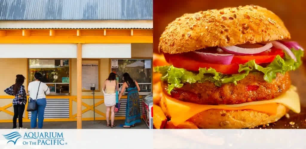 Split image showing the left side with three people at an aquarium ticket booth under a sign that reads  Aquarium of the Pacific,  and the right side displaying a close-up of a juicy chicken sandwich with lettuce, tomato, onion, and cheese on a whole grain bun.