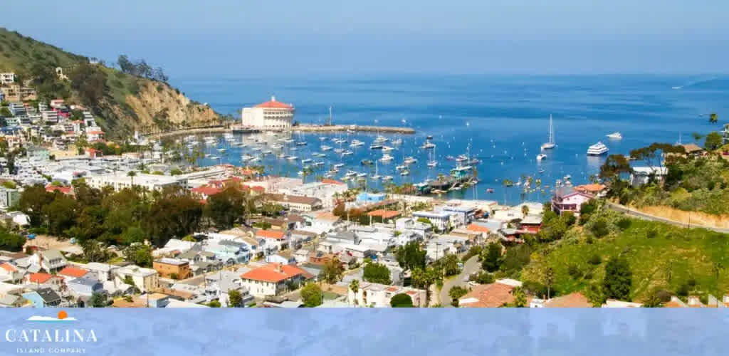 Catalina Island Company discount tickets
