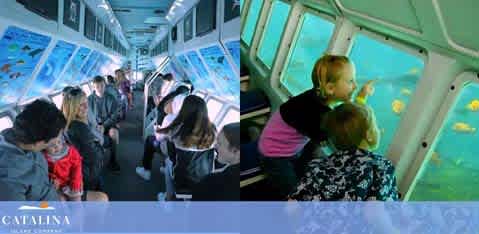 Image of a split view inside a semi-submerged tour vehicle by Catalina. On the left, passengers sit facing windows on a boat. On the right, a child points excitedly at colorful fish through underwater windows, with others observing marine life. Bright natural light fills both spaces.