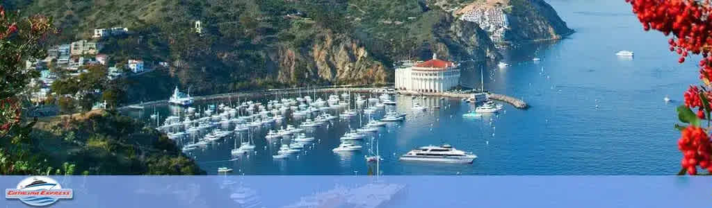 Image Description: This panoramic photograph showcases a stunning harborside view, with the crystal-clear blue waters of the ocean gently cradling an array of white boats and yachts neatly docked in a marina. To the left, a hillside adorned with greenery and scattered buildings overlooks the harbor. A notable circular white building with a red-tiled roof sits prominently near the waterfront. The right side of the image opens to a view of the ocean, with a larger ship visible on the water and a lush hill that ascends steeply from the coastline. In the foreground, vibrant red flowers add a splash of color to the scene. The top left corner features the logo "Catalina Express," hinting at travel or vacation services related to this picturesque location. 

Discover your next adventure with FunEx.com, where you can unlock exclusive discounts and enjoy the lowest prices on tickets to spectacular destinations like this scenic harbor.