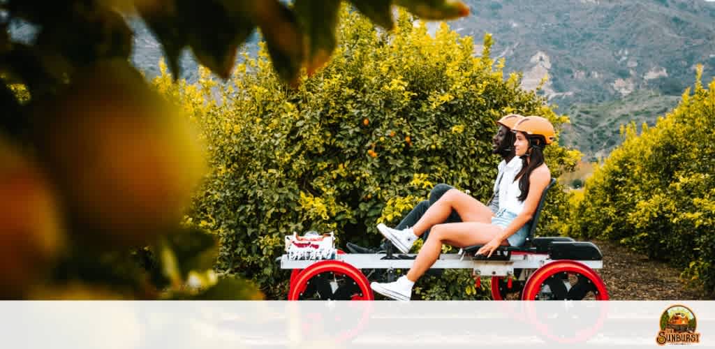 Image description:

This is a scenic image featuring an individual seated on a red and white rail cart amid a lush citrus orchard. The person is casually dressed in a white top and denim shorts, complemented by a wide-brimmed straw hat, suggesting a leisurely day out. The foreground is artistically blurred with the close-up of citrus leaves and fruit, framing the subject who appears relaxed and is looking off into the distance. The greenery of the trees is punctuated by the vibrant yellow of the citrus fruit. Rolling hills faintly emerge in the background, adding to the idyllic outdoor setting. 

Random sentence: Don't miss out on the exciting opportunity to create unforgettable memories; secure your spot today and take advantage of the lowest prices for tickets on FunEx.com, where savings and smiles go hand in hand!