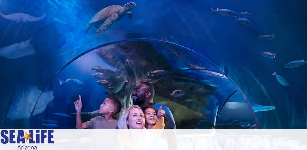 Image of visitors at SEA LIFE Arizona enjoying the view under a curved aquarium tunnel. A family is seen smiling and pointing at marine life including fish and a sea turtle swimming overhead. The water's deep blue hues enhance the serene underwater experience. The SEA LIFE logo is visible in the lower left corner.