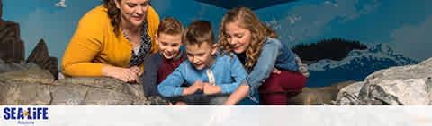 A family at an aquarium with 'SEA LIFE' branding. Two kids and an adult excitedly look at an exhibit, with a backdrop of underwater scenery. Everyone is leaning forward, engaged and smiling.