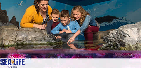 Image of a family at SEA LIFE Arizona's aquarium. A woman, a boy, and two girls smile as they lean over a touch tank, looking at sea creatures. The tank is bordered by rocks, with aquatic graphics in the background. The SEA LIFE logo is visible in the corner.