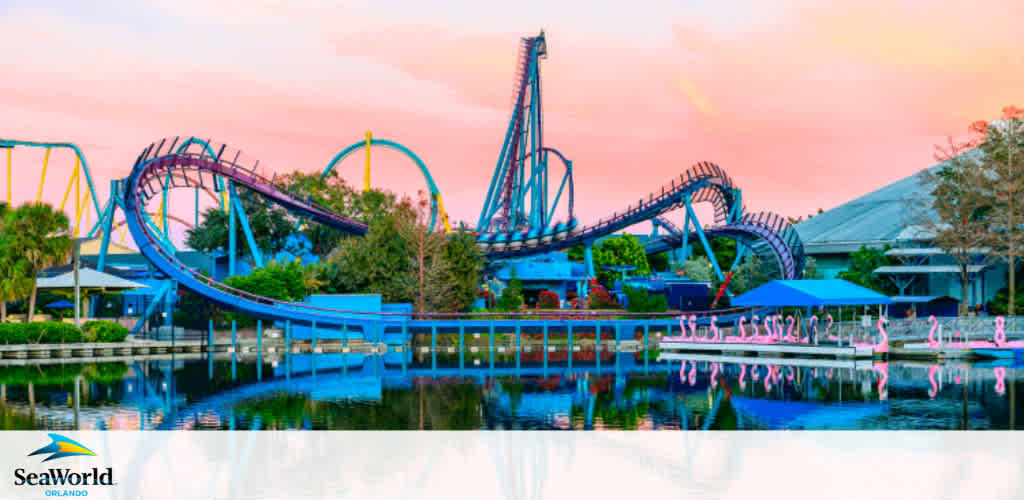 This image features a vibrant sunset over SeaWorld Orlando. A tranquil body of water reflects a roller coaster's silhouette and a flock of pink flamingos. The park's logo is visible in the foreground. Bright colors paint the sky, adding to the serene yet adventurous atmosphere.