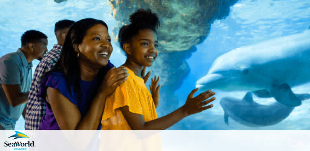 Image shows visitors at SeaWorld Orlando enjoying an underwater dolphin viewing area. A woman and a young girl in the foreground are smiling and reaching out towards a dolphin swimming closely behind the glass, while other guests observe in the background. The SeaWorld logo is visible in the corner.