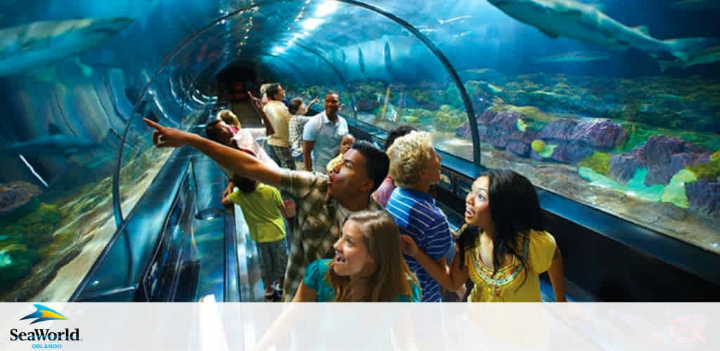 Visitors enjoy an underwater tunnel experience at SeaWorld Orlando. They're surrounded by marine life, observing sharks and fish while standing on a moving walkway. Excitement is evident among the diverse group of guests, with some pointing and marveling at the aquatic display above and around them. The SeaWorld logo is visible in the corner, suggesting a promotional context.