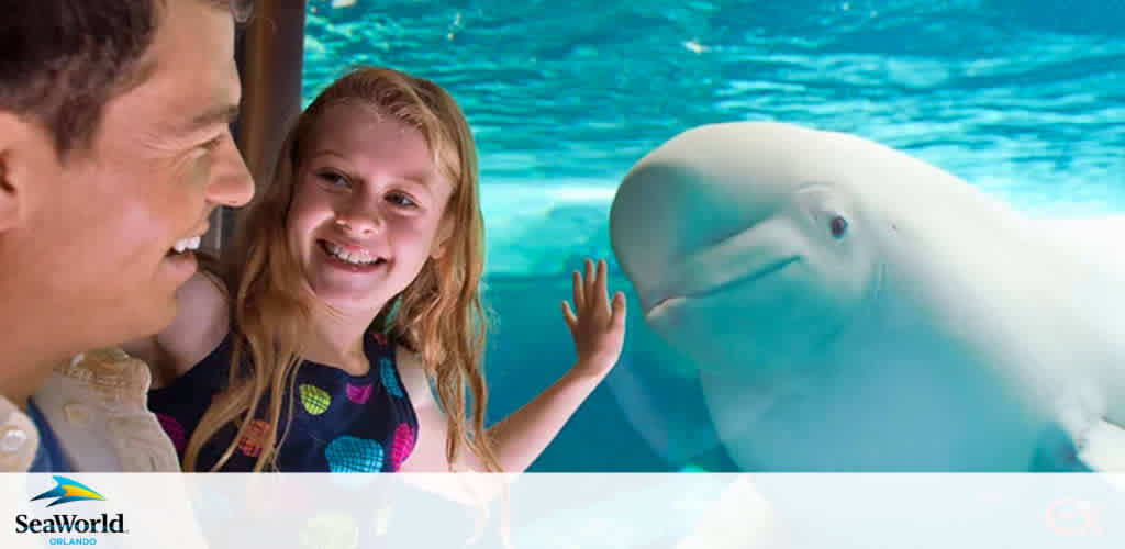 Image shows a smiling young girl beside a man, likely her father, with their hands on a clear underwater barrier as a beluga whale swims close. They are at SeaWorld Orlando, indicated by the logo in the corner. Brightness and joy are captured in this family moment.