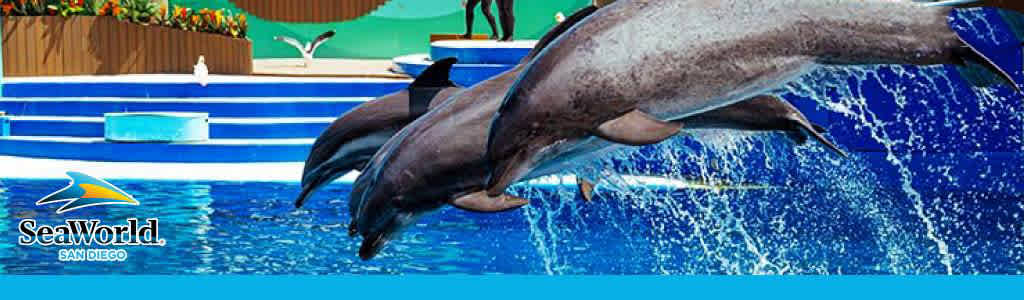 SeaWorld San Diego 4th of July and Rescue Jr discount tickets