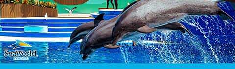 SeaWorld San Diego 4th of July and Rescue Jr discount tickets