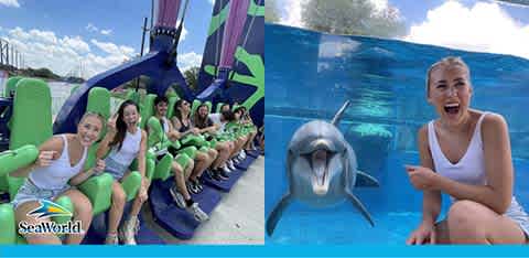 Image divided into two scenes. On the left, a group of excited visitors in a green and purple amusement park ride, with the SeaWorld logo below. On the right, a woman in white smiles sitting near a glass wall with a dolphin facing her from the other side of the glass. Skies are clear and both settings indicate fun encounters.