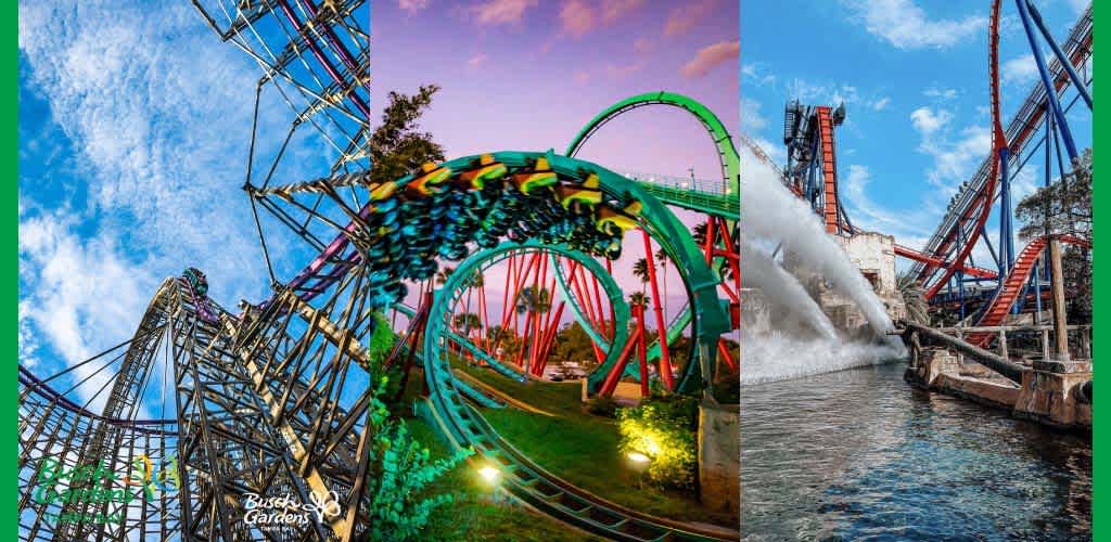 Three images of roller coasters at Busch Gardens, with dramatic curves and splashing water.