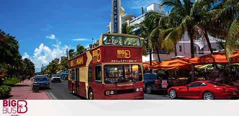 Red tour bus on a sunny street with palm trees and buildings.