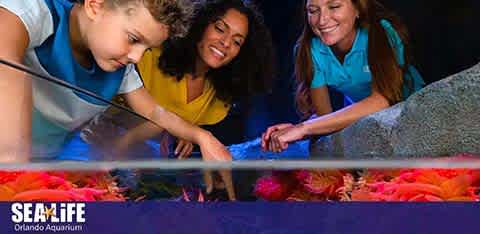 Sea Life Orlando discount tickets 