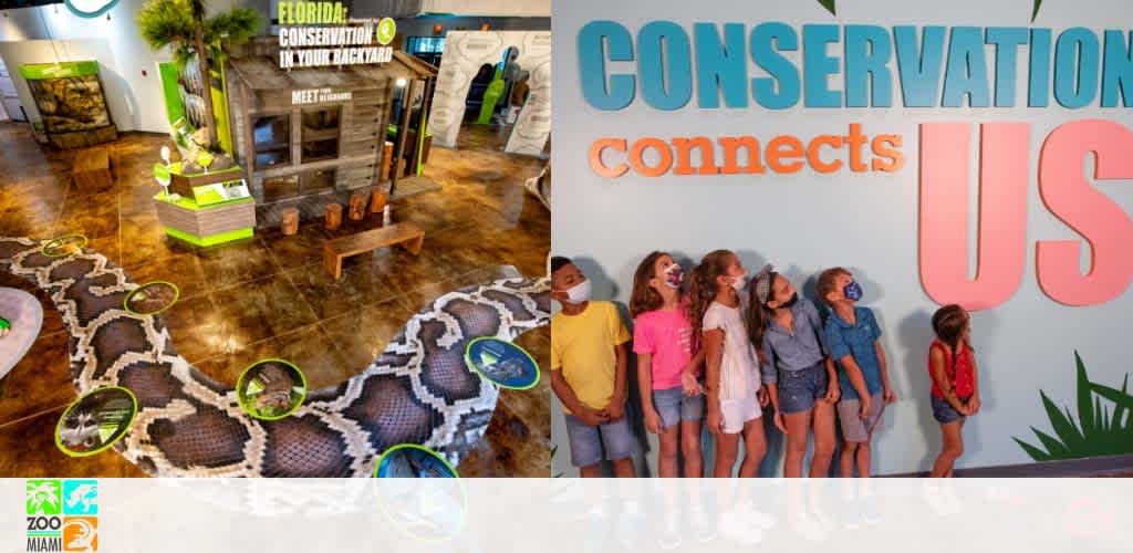 An exhibit about conservation with children looking at a display wall on right, interactive snake floor design on left.