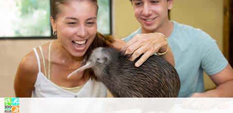 A smiling couple interacting with a small emu in an indoor setting.