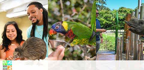 Collage of zoo moments with visitors engaging with animals.