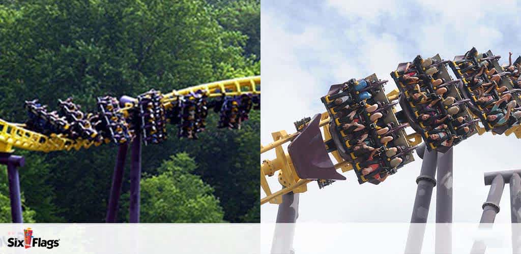 Image showing two roller coasters from Six Flags amusement parks. On the left, a yellow coaster car filled with riders descends a hill against a backdrop of trees. On the right, a coaster car with inverted riders twists along the track under a cloudy sky. Both images capture the thrill of the rides.