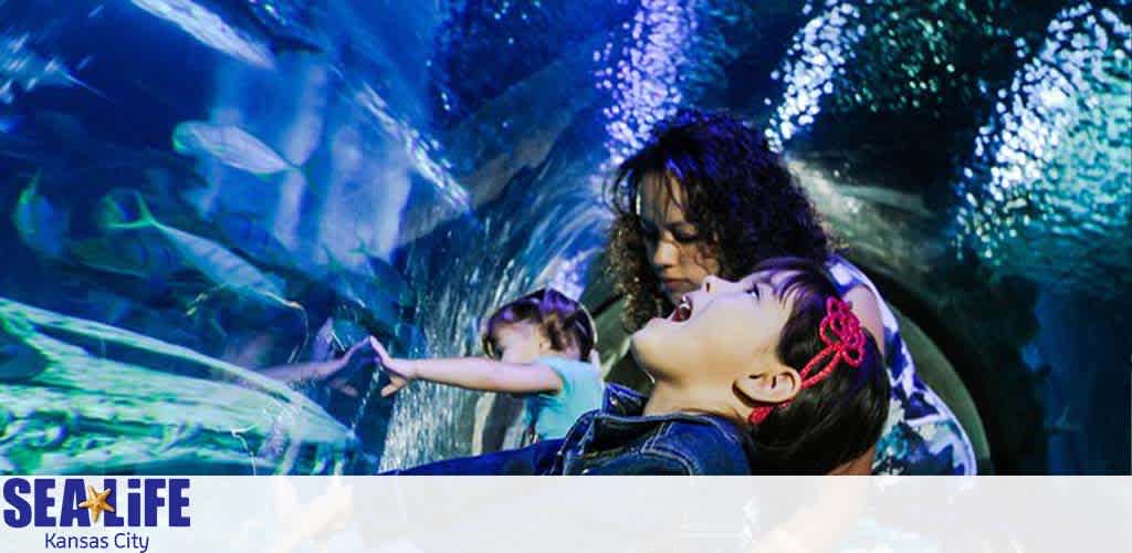 Image shows a child and two adults marveling at sea life through a transparent tunnel. The child, to the forefront, wears a flower hair accessory and looks up in awe. Vibrant aquatic hues envelop them, suggesting an immersive underwater experience at SEA LIFE Kansas City.