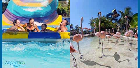 The image shows two photos side by side from a water park. On the left, four people are joyfully riding a yellow raft down a vibrant, multicolored water slide with a splash of blue water at the end. The right photo captures a flock of pink flamingos gracefully wading through a shallow pool surrounded by tropical foliage and visitors overlooking the scene from a path, with a waterslide in the background. The word 'Aquatica' is displayed in the lower-left corner.