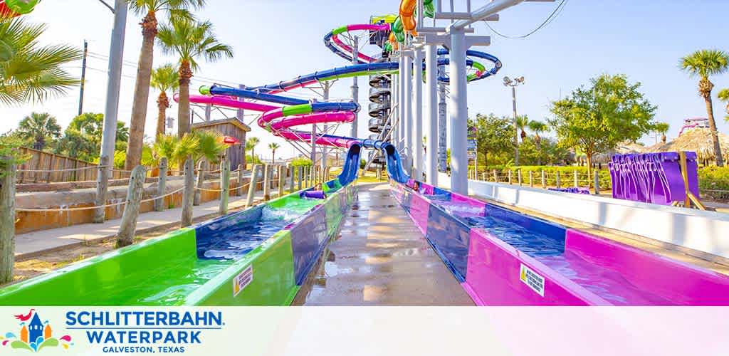 Image of Schlitterbahn Waterpark in Galveston, Texas, showcasing a colorful water slide with multiple intertwined tubes in shades of blue and purple. Lush palm trees and clear skies provide a scenic backdrop to the attraction.
