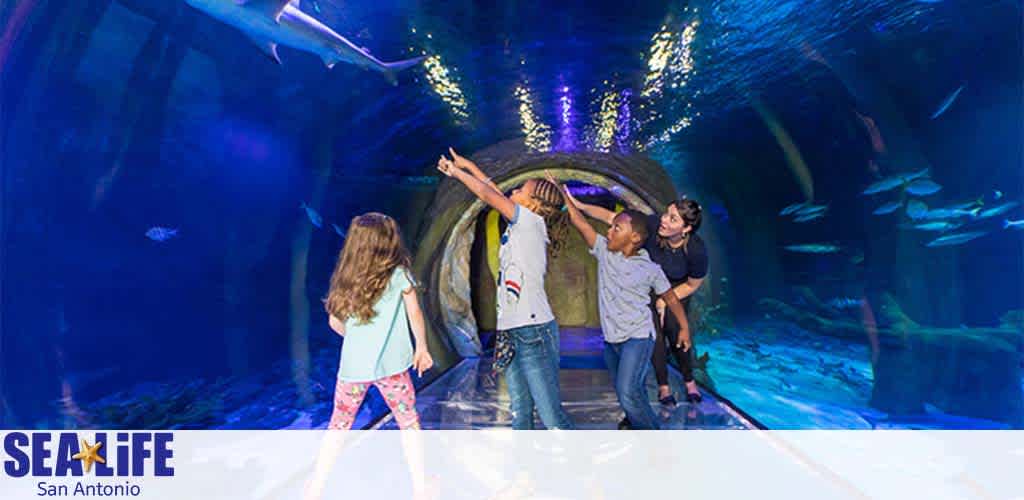 Image shows four children exploring an underwater tunnel at SEA LIFE San Antonio. They appear captivated by the marine life swimming overhead in the clear blue water. The aquarium's immersive experience surrounds them with various fish, creating a sense of underwater adventure.
