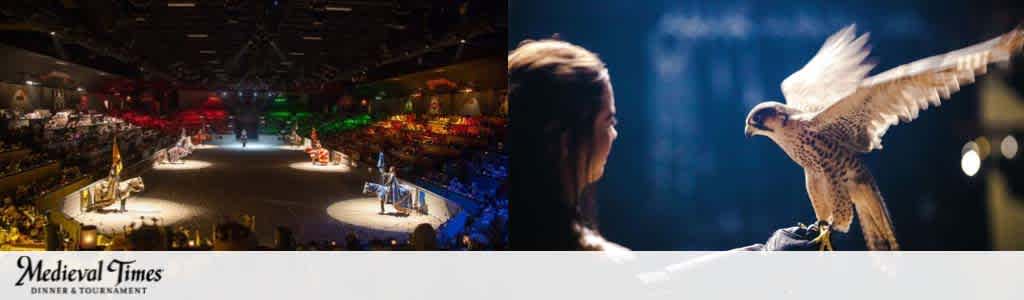 Image featuring two sections; on the left is the interior of Medieval Times, showcasing knights on horseback in an arena with audiences in colored seating areas. On the right, a focused view of a falcon perched on a gloved hand, with a blurred background of a person gazing at it. The Medieval Times logo is at the bottom.