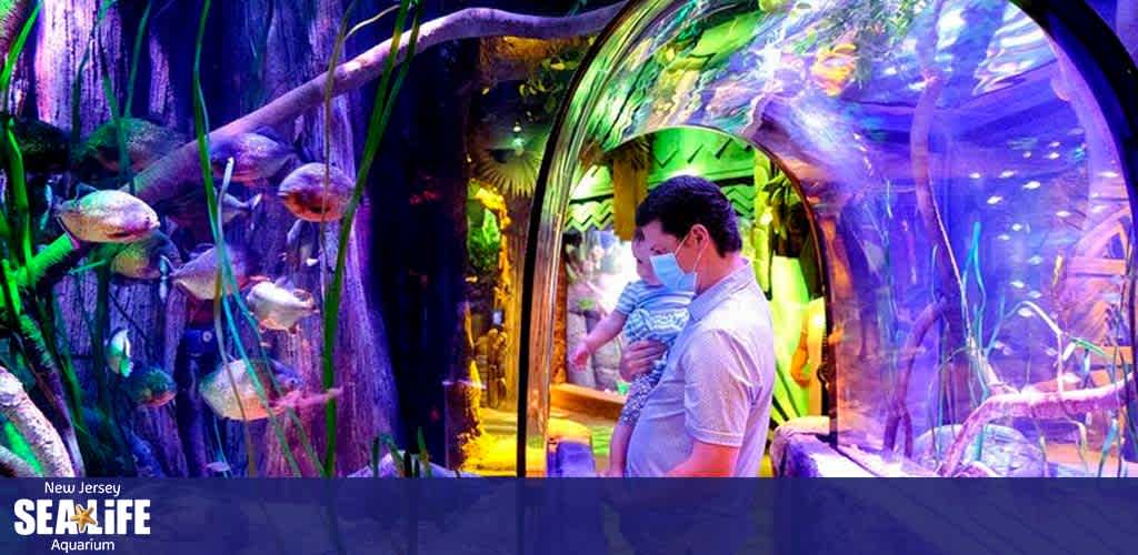 Image shows a vibrant aquarium setting with a visitor observing underwater life. The interior is aglow with blue and purple lights, highlighting the aquatic environment and diverse fish species. The foreground features a man and child looking through a clear tunnel, encapsulated in a serene, submerged world. Text on the image reads: New Jersey SEA LIFE Aquarium.