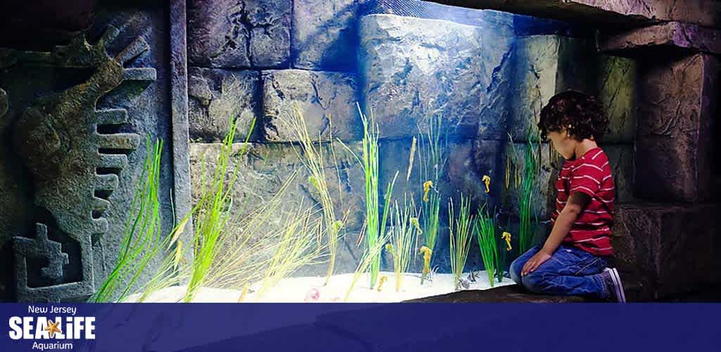 Image displays a child sitting in front of an aquarium exhibit at the New Jersey SEA LIFE Aquarium. The display includes underwater greenery and several yellow fish. The backdrop is a dark, stone-like wall with etchings, conveying an ancient aquatic atmosphere. The child appears captivated by the colorful underwater scene. The New Jersey SEA LIFE Aquarium logo is visible in the image.