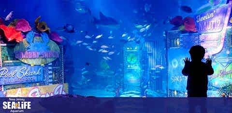 A visitor observes a large aquarium filled with a variety of fish, bathed in a blue light. Promotional banners with phrases like 'Shark Shipwreck' and 'Feelin' Nauti' deck the room. The New Jersey SEA LIFE Aquarium logo is visible at the bottom.