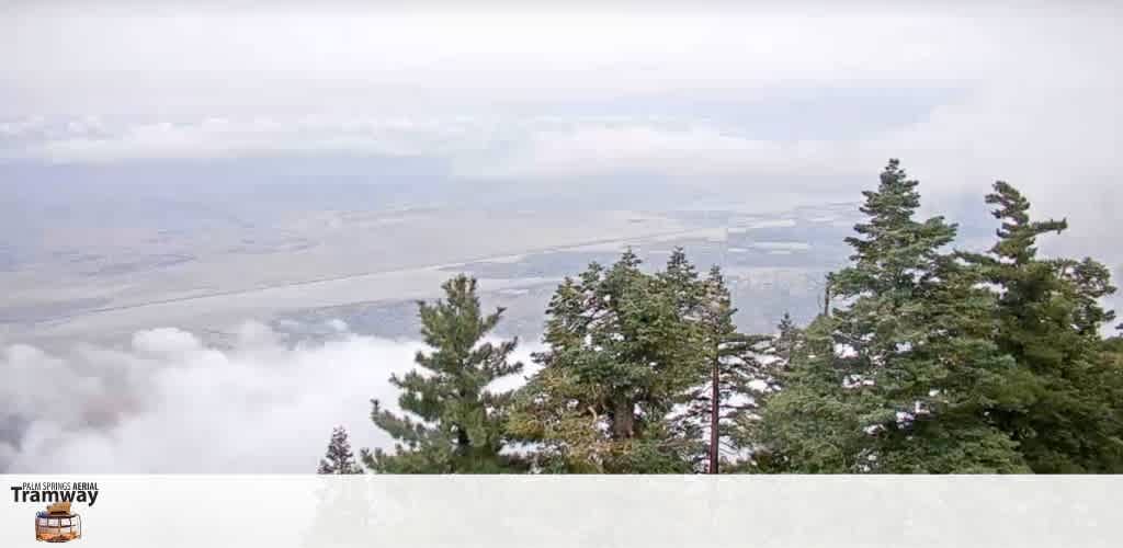 Image description: This is a scenic photo depicting a hazy panoramic view from a high vantage point, possibly a mountain or high hill. In the foreground, there are several coniferous trees with a dusting of snow on their branches, indicating a cold environment or recent snowfall. Beyond the trees, a blanket of clouds covers the landscape, creating the impression of a surreal, floating viewpoint. Through the clouds, a flat expanse is faintly visible, which could be a valley or a plain stretching into the distance. The clarity of the far-off view is subdued due to the overcast sky. The top left corner of the image has the text "Palm Springs Aerial Tramway" along with an orange logo featuring a tram car, suggesting this view may be from a location accessed by a tramway service. The colors in the image are subdued with a cool overall tone.

Visit GreatWorkPerks.com for unbeatable savings and secure your tickets to experience breathtaking views like this one, ensuring your next adventure is not only memorable but also gentle on your wallet.