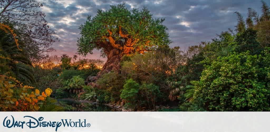Walt Disney World Resort Orlando discount tickets