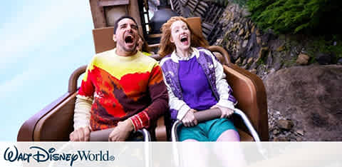 Walt Disney World Resort Orlando discount tickets