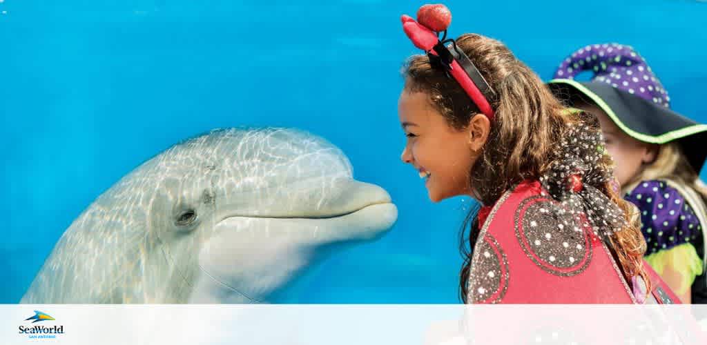 Seaworld San Antonio discount tickets