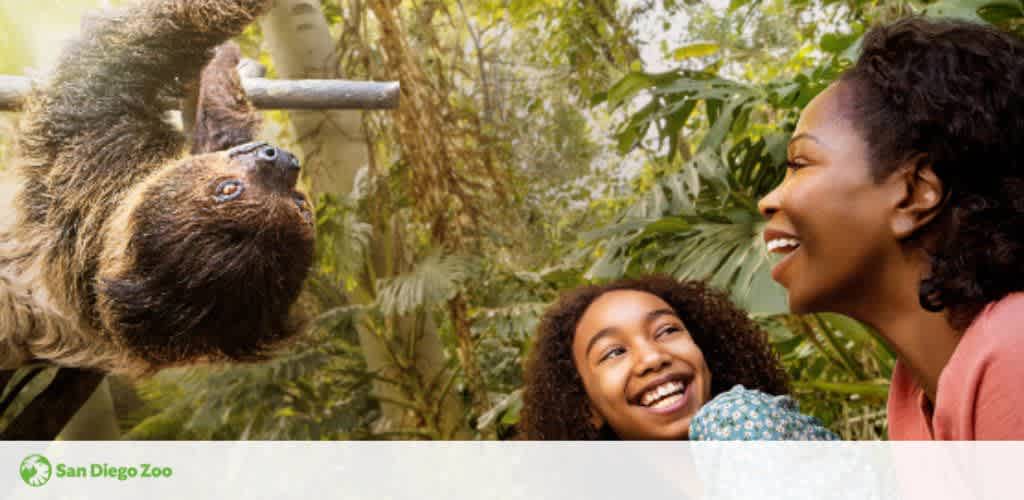 San Diego Zoo discount tickets
