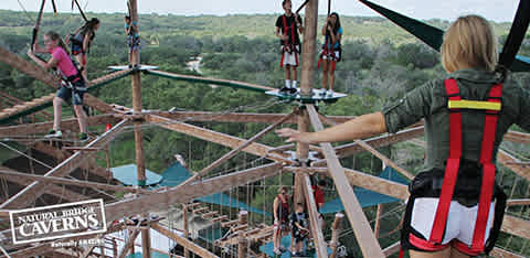 Adventure seekers traverse a high ropes course among treetops. A person in the foreground reaches out, secured with a harness, as others navigate various rope challenges and wooden platforms. Lush greenery envelopes the scene.