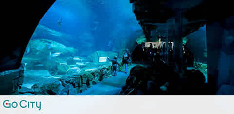 Underwater tunnel at an aquarium with people observing marine life in a large, blue-lit tank. Various sea creatures swim in the background. The scene is tranquil and the path alongside the tank invites exploration. Brand logo is visible at the bottom left.