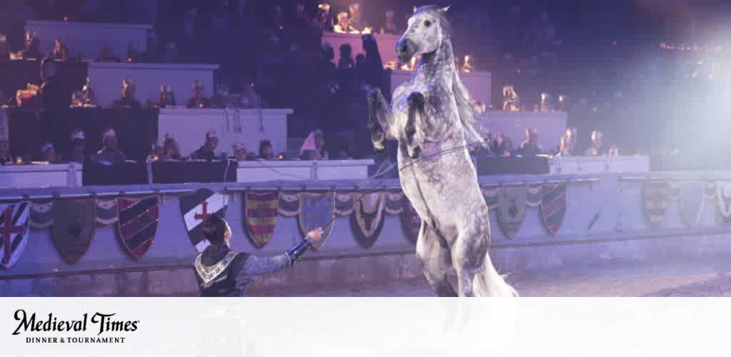 This image depicts a spirited scene from a Medieval Times Dinner & Tournament event. In the foreground, a performer clad in a dark medieval-themed attire with a helmet is shown with his arm extended, presenting a gesture of acknowledgement or command towards a magnificent gray horse that is rearing on its hind legs in an impressive display of training and showmanship. The horse is adorned with decorative tack fitting the medieval theme, including a breast collar and a bridle. In the softly lit background, spectators can be seen seated in tiers, their attention captivated by the performance. Each tier is decorated with colorful medieval-style banners representing various crests or coats of arms, enhancing the immersive historical experience of the event.

The logo "Medieval Times Dinner & Tournament" is visible at the bottom of the image, promising an authentic step back in time to enjoy an exciting combination of historical reenactment and culinary delight.

At FunEx.com, experience the pageantry of the past for less - enjoy the thrill of Medieval Times with the benefit of discounts and savings for the lowest ticket prices available.