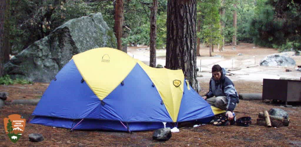 A person sits by a blue and yellow tent in a forested campsite.
