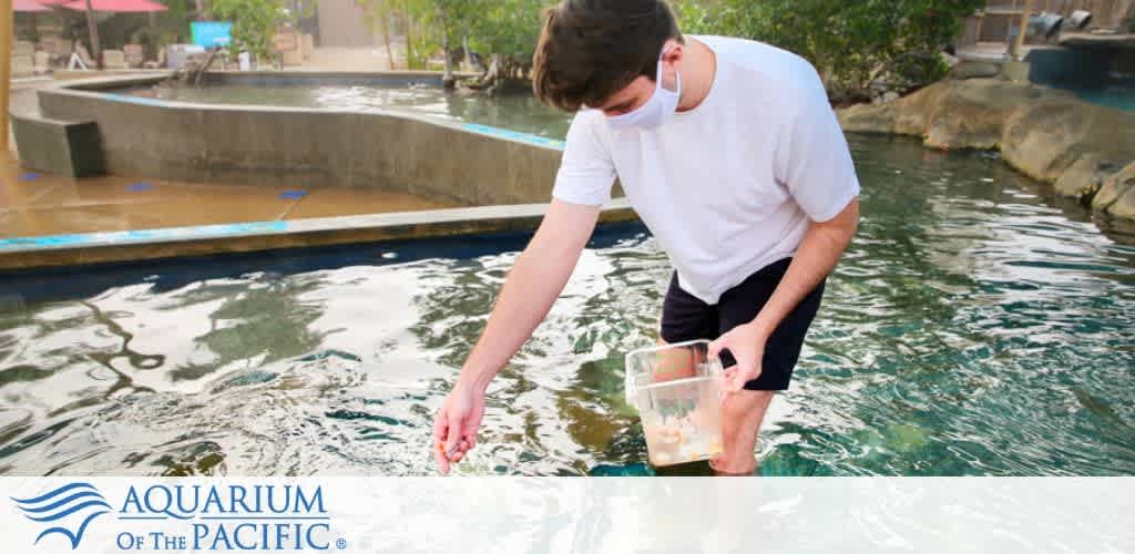 A person wearing a mask stands beside a pool at the Aquarium of the Pacific, reaching out to touch the water with one hand while holding a clear container in the other. The aquarium’s logo is visible in the corner.