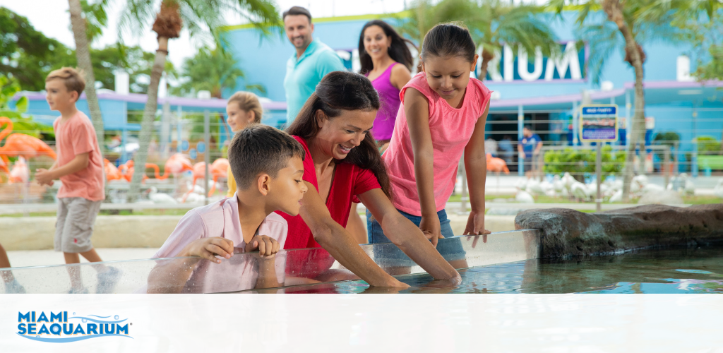 A family enjoys an exhibit at Miami Seaquarium, with a focus on children touching a pool.